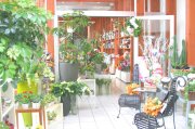 「フローリッシマ」　（滋賀県大津市）の花屋店舗写真2